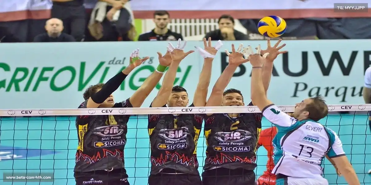 华体会体育——🚣‍♀️🐬 八人艇齐进，海豚护航！